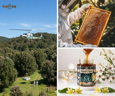 The Journey of Mānuka Honey – From Forest to Jar